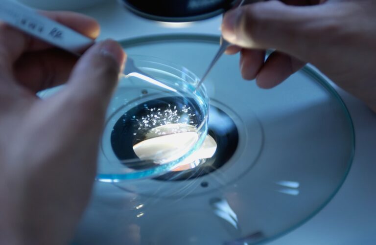 Beyond the Clinic: Antimicrobial Peptides in Food, Agriculture, and Aquaculture